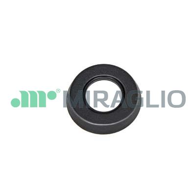 MIRAGLIO 110/34 Manovella...
