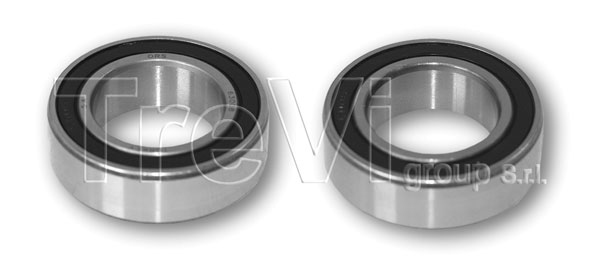 TREVI AUTOMOTIVE TD1487...