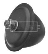 BORG & BECK BSK7634 Προσκρουστήρας, ακραξόνιο for MITSUBISHI
