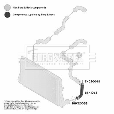 BORG & BECK BTH1065 Ελαστ. σωλ. αέρα υπερπλήρωσης δεξιά εμπρός κάτω for AUDI SEAT SKODA VW