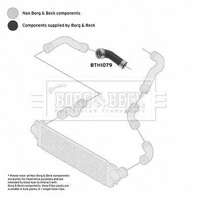 BORG & BECK BTH1079 Ελαστ. σωλ. αέρα υπερπλήρωσης δεξιά κάτω πίσω for VW