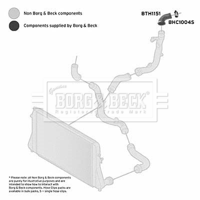 BORG & BECK BTH1151 Ελαστ. σωλ. αέρα υπερπλήρωσης δεξιά κάτω πίσω for VW