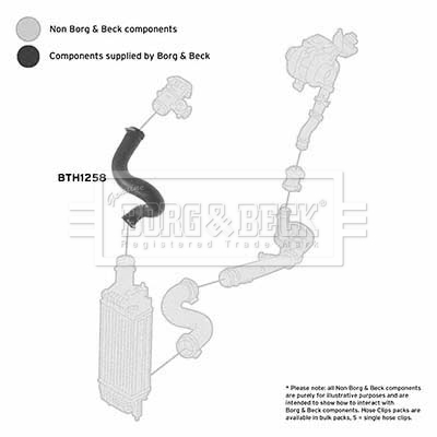 BORG & BECK BTH1258 Ελαστ. σωλ. αέρα υπερπλήρωσης for CITROËN PEUGEOT