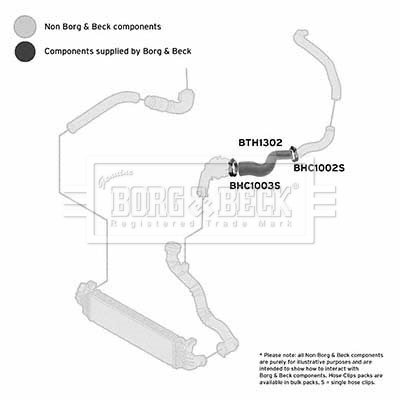 BORG & BECK BTH1302 Ελαστ. σωλ. αέρα υπερπλήρωσης for FORD
