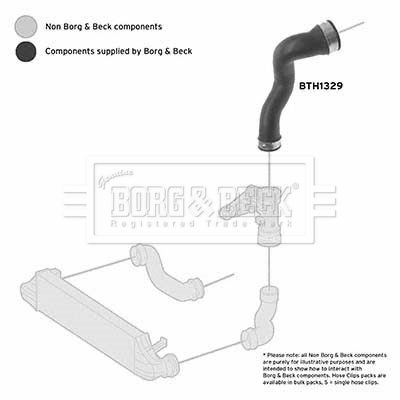 BORG & BECK BTH1329 Ελαστ. σωλ. αέρα υπερπλήρωσης for MERCEDES-BENZ