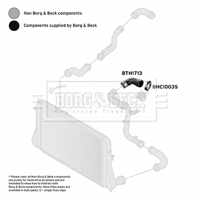 BORG & BECK BTH1713 Ελαστ. σωλ. αέρα υπερπλήρωσης for AUDI SEAT SKODA VW