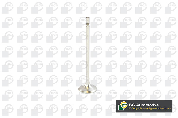 BGA V016839 Βαλβίδα εισαγωγής