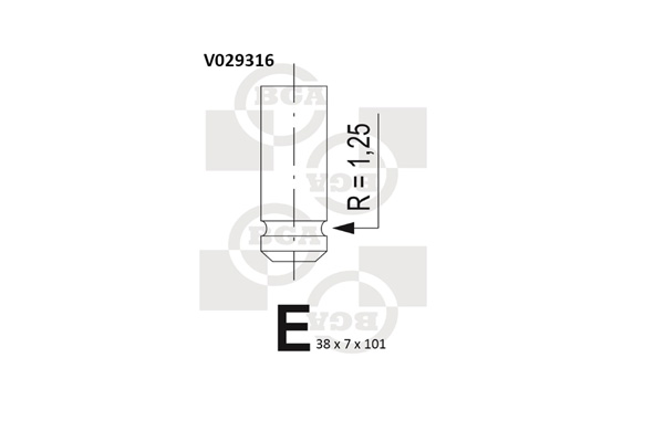 BGA V029316 Βαλβίδα εισαγωγής