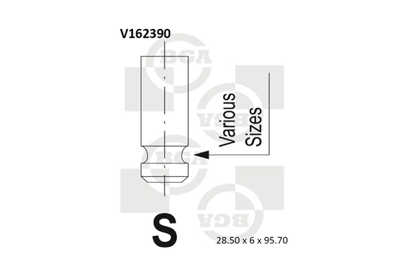 BGA V162390 Βαλβίδα εισαγωγής