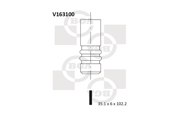BGA V163100 Βαλβίδα εισαγωγής