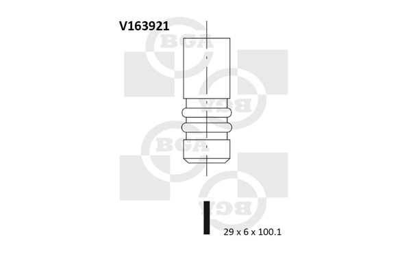 BGA V163921 Βαλβίδα εξαγωγής