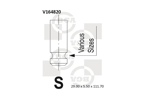 BGA V164820 Βαλβίδα εισαγωγής