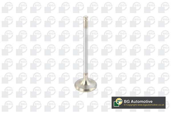 BGA V820011 Βαλβίδα εξαγωγής