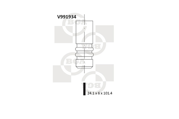 BGA V991934 Βαλβίδα εξαγωγής