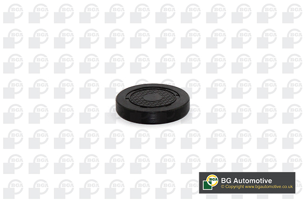 BGA PL4601 Τάπα, τρύπα τοποθέτησης άξονα των πλήκτρων των βαλβίδων for DACIA NISSAN OPEL RENAULT VAUXHALL