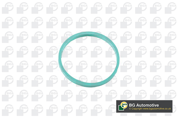 BGA RW4353 Τσιμούχα, πολλαπλή εισαγωγής for AUDI CUPRA SEAT SKODA VW