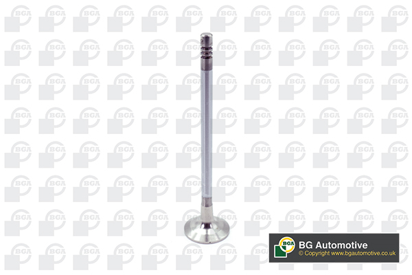 BGA V204955 Βαλβίδα εξαγωγής for DACIA RENAULT