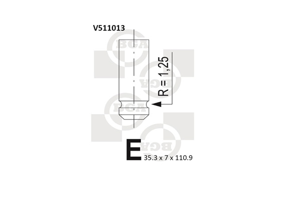 BGA V511013 Intake Valve
