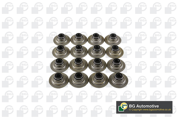 BGA VK5343 Seal Set, valve stem