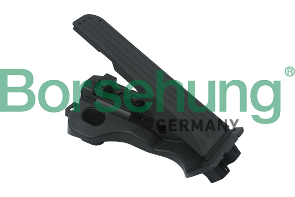 Borsehung B18726 Fahrpedalsatz