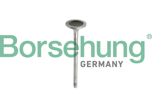 Borsehung B10343 Piston Ring Kit