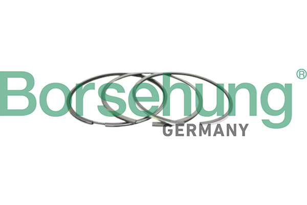 Borsehung B10366 Piston Ring Kit