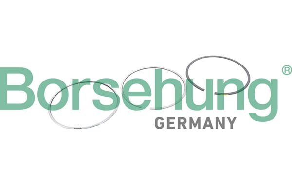 Borsehung B10368 Piston Ring Kit