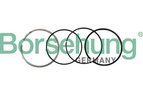 Borsehung B10370 Piston Ring Kit