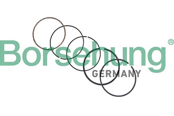 Borsehung B10374 Piston Ring Kit