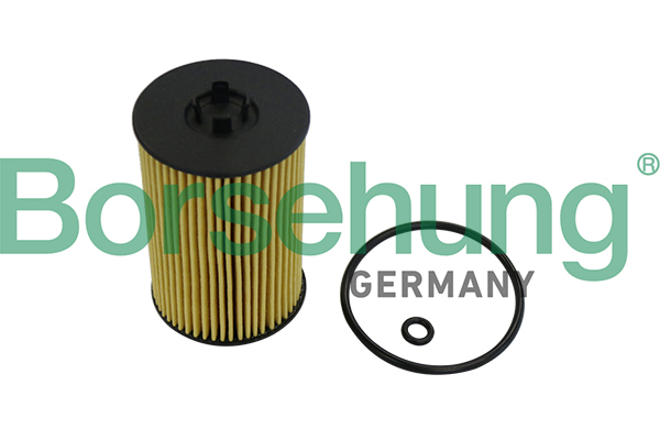 Borsehung B10532 Olejový filter