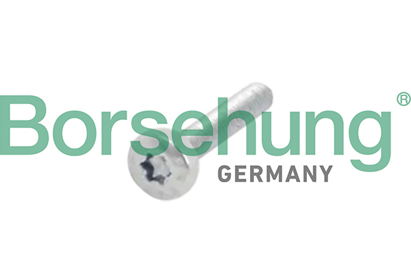 Borsehung B10634 Bolt, camshaft gear
