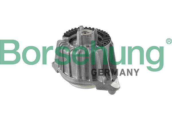 Borsehung B10998 Mounting, engine
