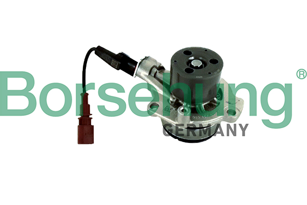 Borsehung B11224 Water Pump, engine cooling