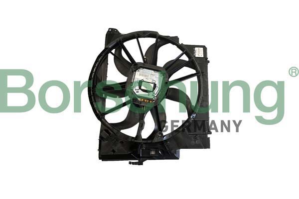 Borsehung B11268 Fan, engine cooling