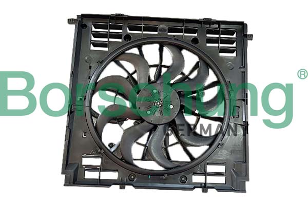Borsehung B11270 Fan, engine cooling