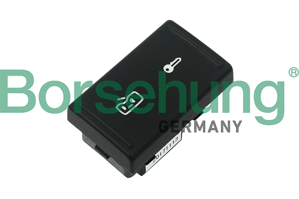 Borsehung B11441 Switch, door lock system