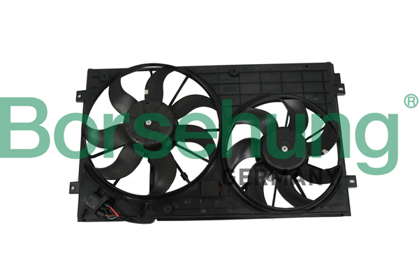 Borsehung B11498 Fan, engine cooling