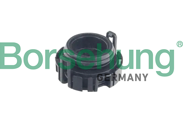 Borsehung B12240 Oil Pressure Valve