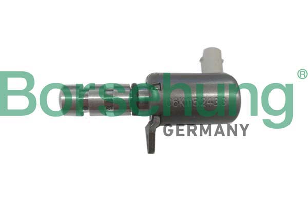 Borsehung B12314 Oil Pressure Valve