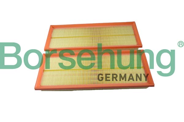 Borsehung B12398 Air Filter