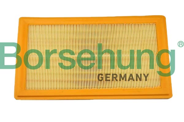 Borsehung B12399 Air Filter