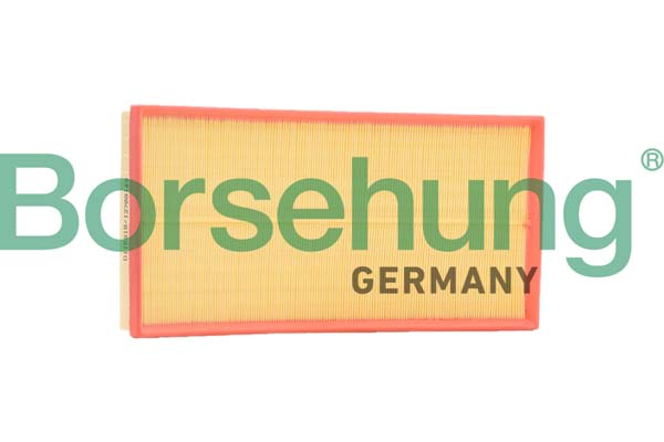 Borsehung B12401 Air Filter