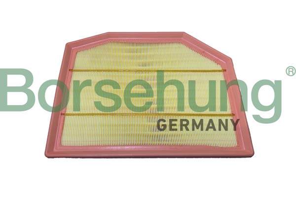 Borsehung B12436 Air Filter