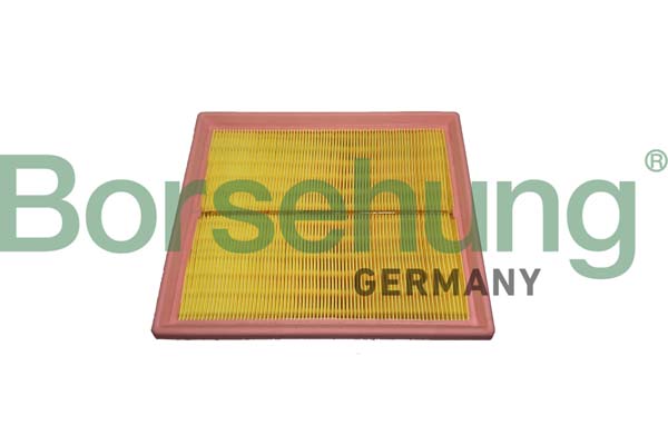 Borsehung B12438 Air Filter