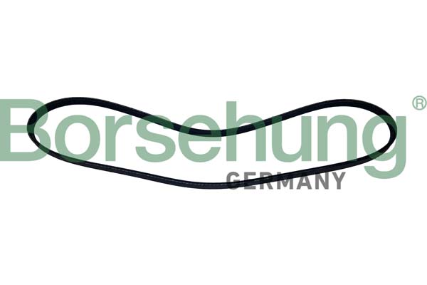 Borsehung B12503 Ozubený klinový remeň