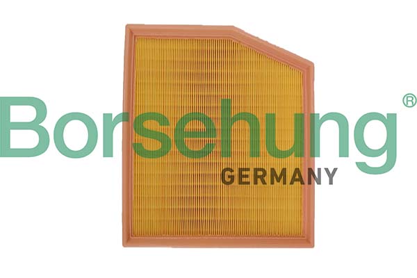 Borsehung B12701 Air Filter
