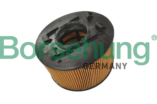 Borsehung B12702 Air Filter