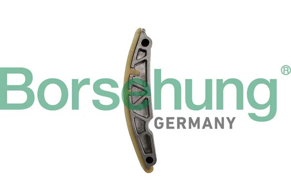 Borsehung B12831 Guide, timing chain