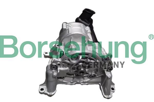 Borsehung B12881 Oil Pump Set