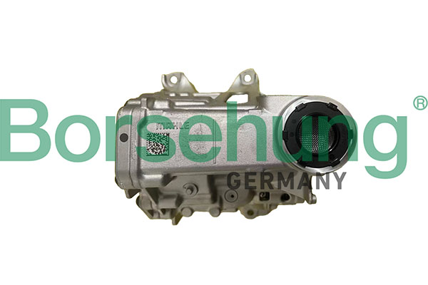 Borsehung B12885 Oil Pump Set